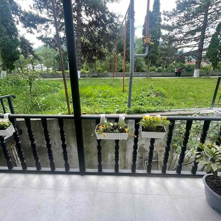 New Borjomi Apartment ภายนอก รูปภาพ