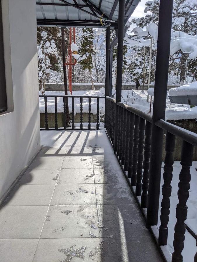 New Borjomi Apartment ภายนอก รูปภาพ