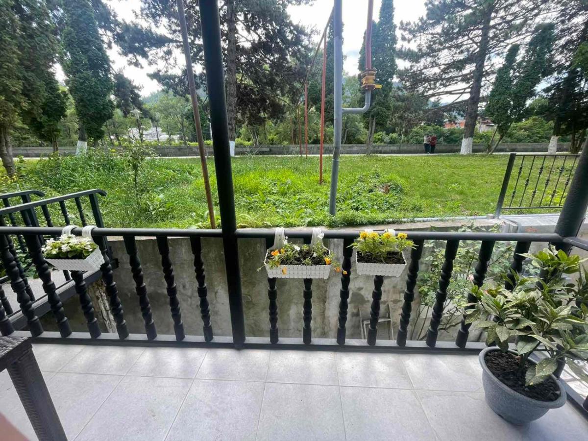 New Borjomi Apartment ภายนอก รูปภาพ
